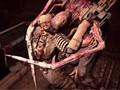 《死亡空间2》三项修改器