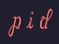 《Pid》3DM V1.0汉化版补丁