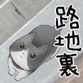 迷路的小猫逃离小胡同汉化剧情破解版