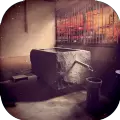 脱离花鸟风月无限攻略中文破解版