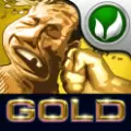 打人专打脸黄金版无限金币中文破解版（FaceFighter Gold）