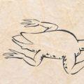 鸟兽战手机游戏