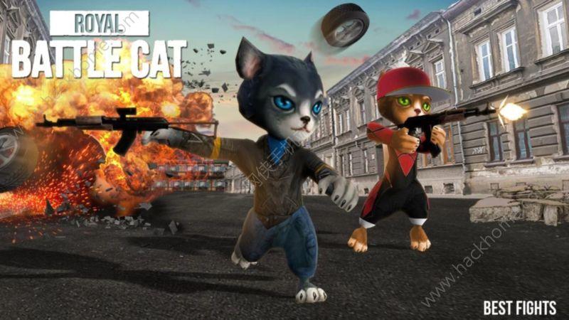 皇家战斗猫Royal Battle Cat游戏安卓版下载截图