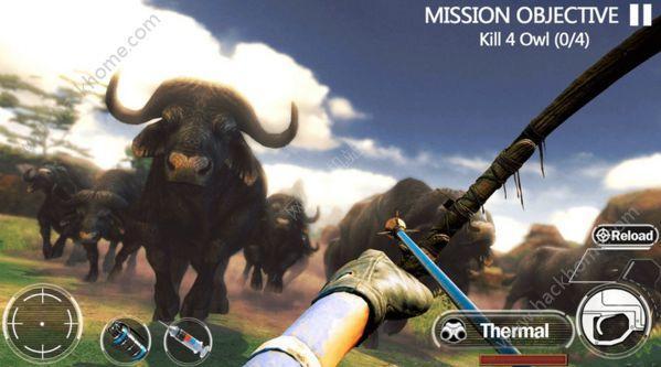 动物狩猎森林射手游戏安卓版（Animal Hunting Forest Shooter）截图