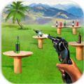 射击瓶子特训游戏安卓最新版（Bottle Shooter Expert）