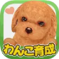 掌心小狗汉化中文版