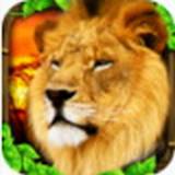 狮子模拟器无限生命版(lionsimulator)