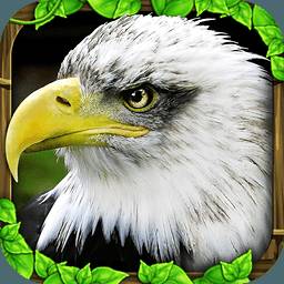老鹰模拟器内购破解版(eagle simulator)