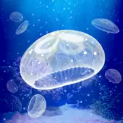 ellyfish Aquarium Free