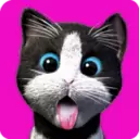 虚拟宠物猫