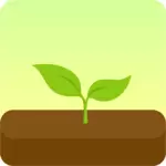 保持专注Forest