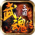 三国武魂传版