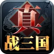 真战三国版