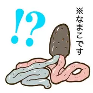 奇妙的动物