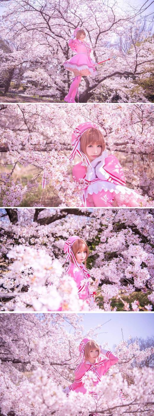 美女Coser收藏《魔卡少女樱》周边 获吉尼斯世界纪录