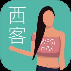 西客手游