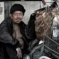 无家可归的战斗机游戏安卓版