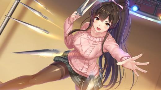 恋爱游戏《NinNinDays》发售 和美女忍者同居生活