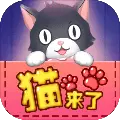 猫来了