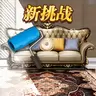 家居搭配大师完整版