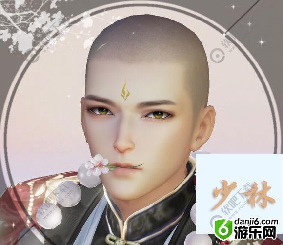 花与剑捏脸数据分享