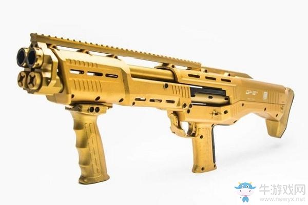 《少女前线》战术人形DP-12介绍