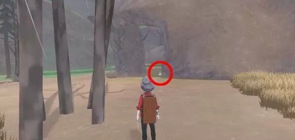 宝可梦剑盾日之石有什么用