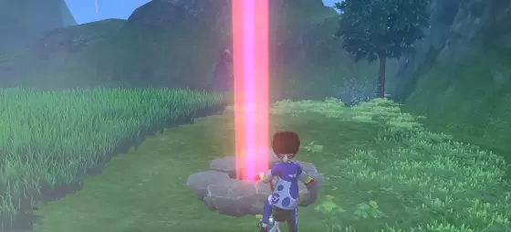 宝可梦剑盾极巨化卡比兽在哪