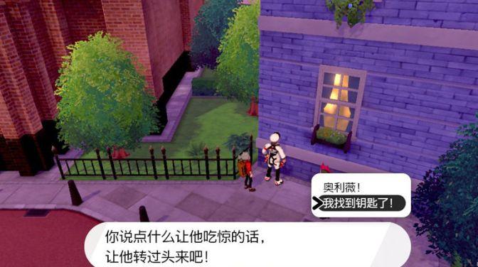 宝可梦剑盾宫门市找人