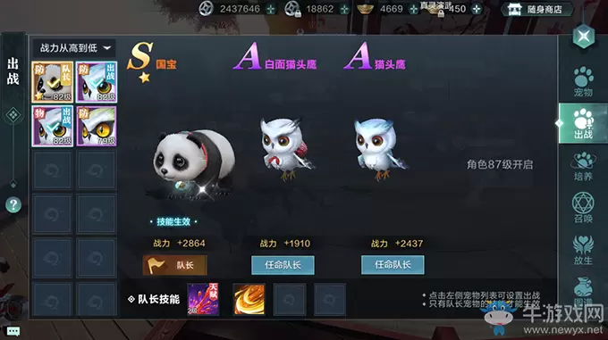 《雪鹰领主》宠物出战