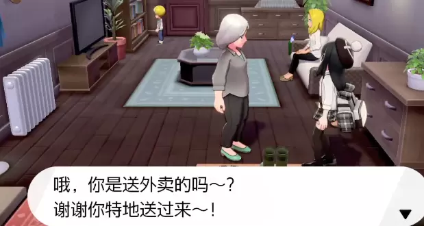 宝可梦剑盾送外卖任务