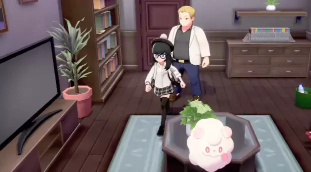 宝可梦剑盾送外卖任务