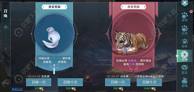 雪鹰领主宠物玩法