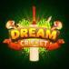 Dream Cricket谷歌版