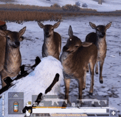 《和平精英》极寒物资箱在哪里