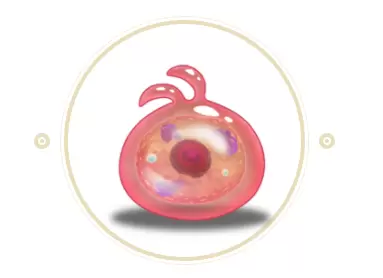 不思议迷宫冈布奥寄生体4号怎么样