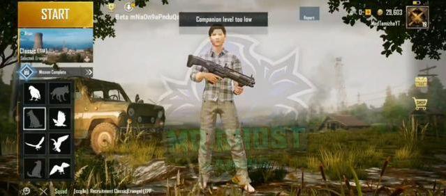 和平精英宠物狗介绍 和平精英ss6宠物狗子一览