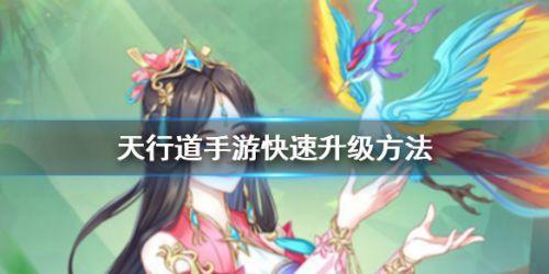 天行道手游新手快速升级攻略详解