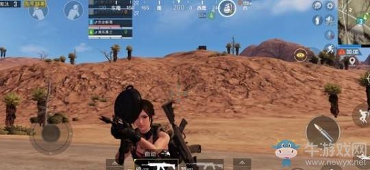 《和平精英》4级头bug