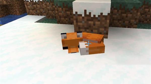 我的世界狐狸有什么用?狐狸特点介绍攻略