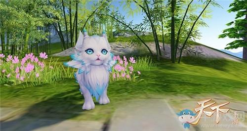 《天下手游》契灵白泽技能属性介绍