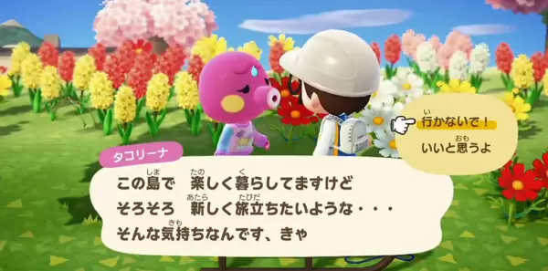 动物森友会怎么让动物搬家