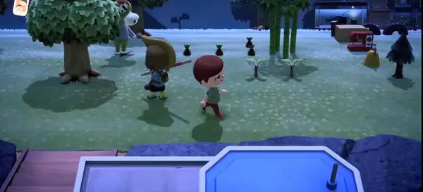 动物森友会可以联机吗