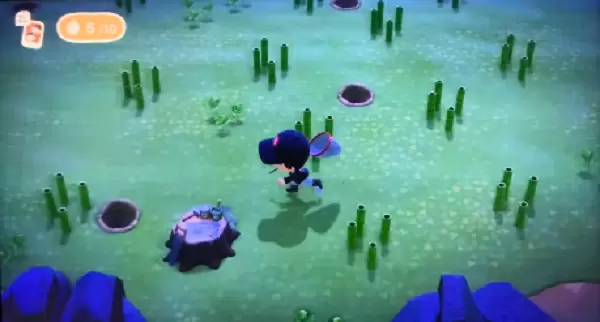 动物森友会竹子岛怎么刷狼蛛