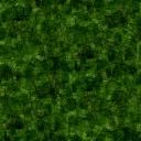 《希望之村》雨林效果一览