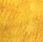 《希望之村》黄草原效果一览