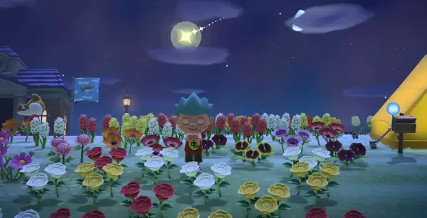 动物森友会星星碎片上限多少