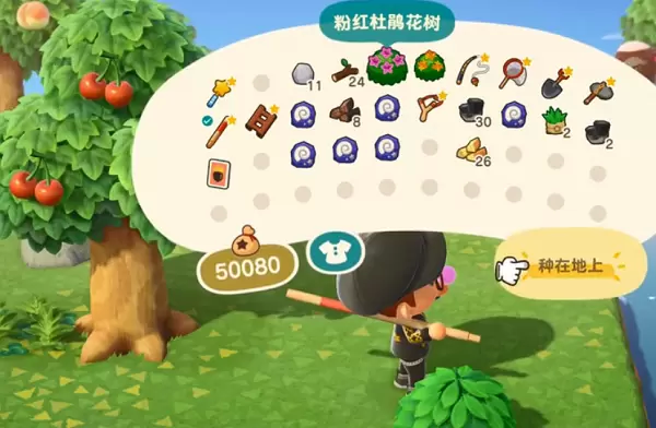 动物森友会灌木开花时间一览