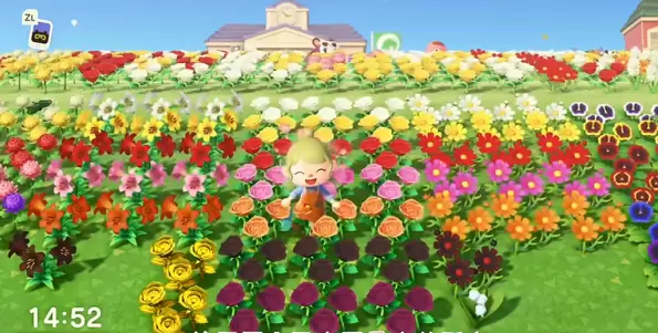 动物森友会装饰花朵活动怎么做