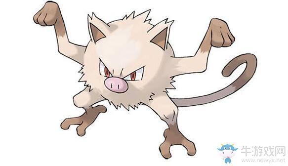 《宝可梦大探险》猴怪召唤食谱配方一览